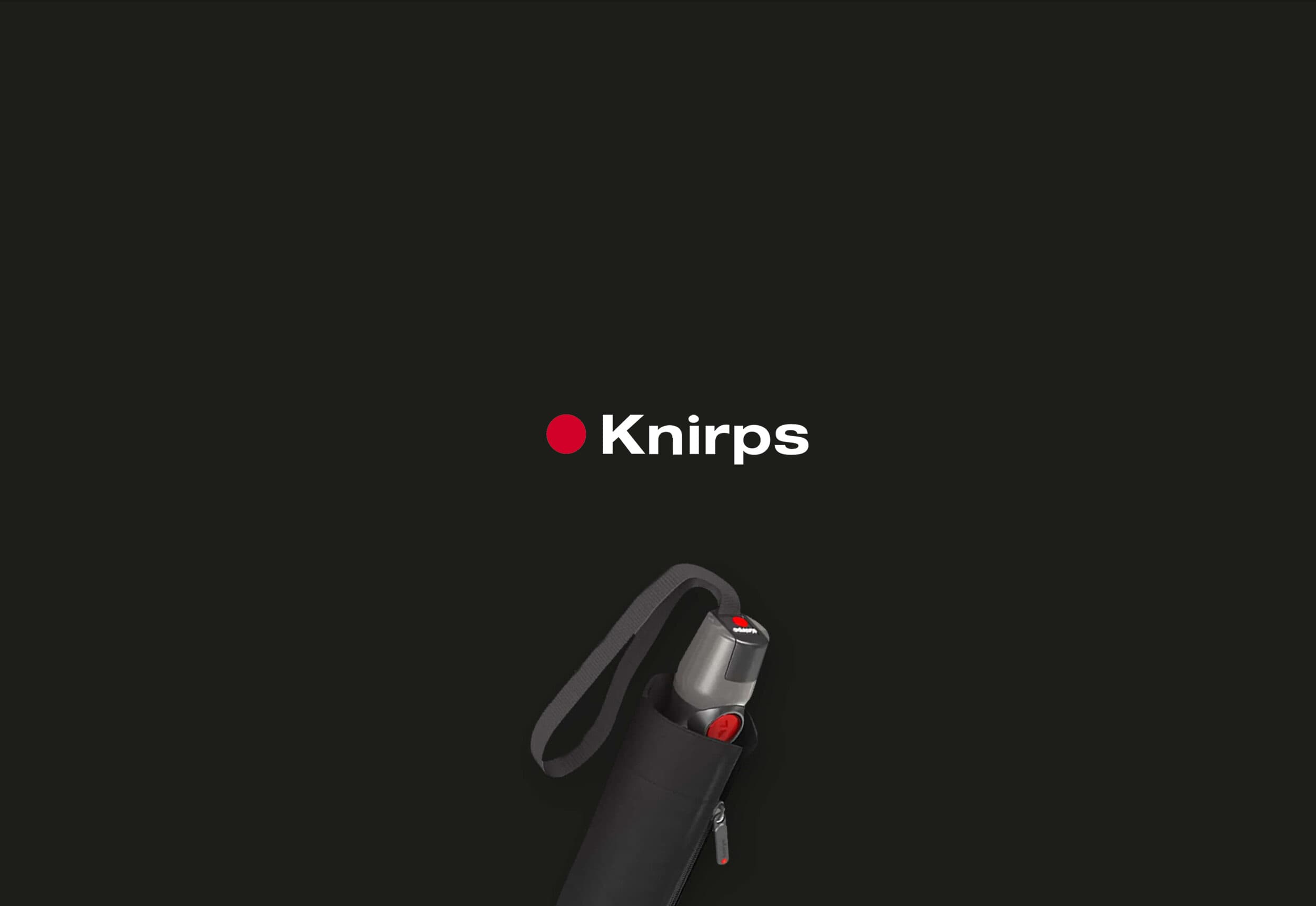 Knirps project preview