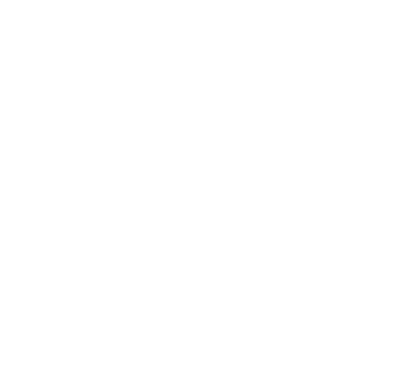 Die Schöne Neun