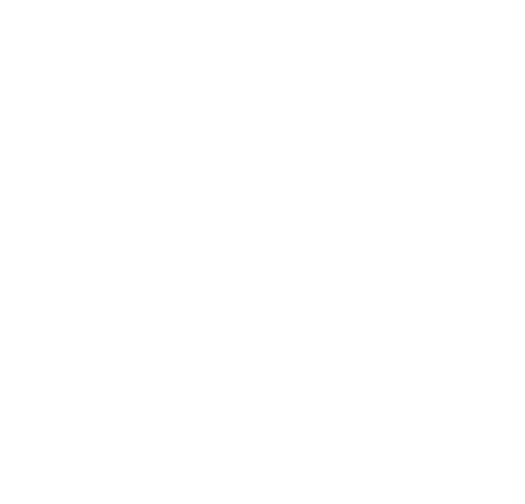 TO THE BONE